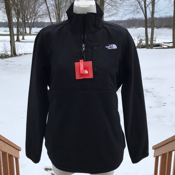 The North Face Tops - NWT 200WT Tundra Pullover L
